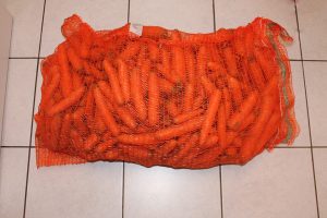 a-4) Mesh Net-4 (pixabay)